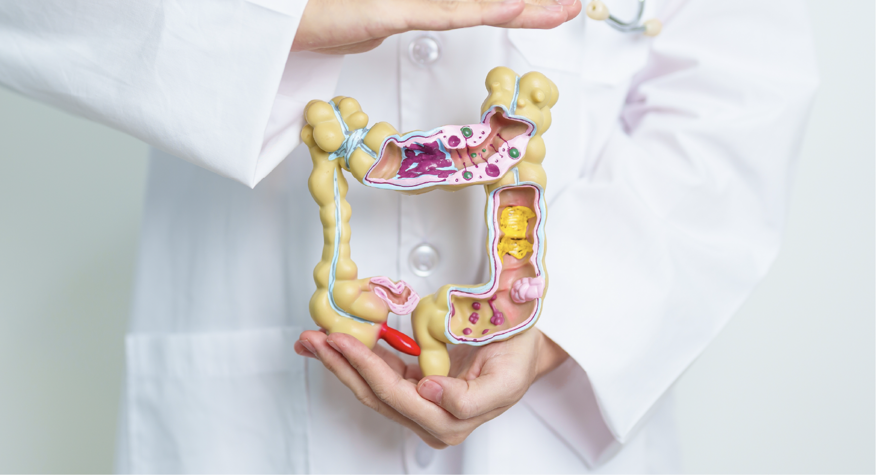 Aelius_Website_Blog Page Template-02