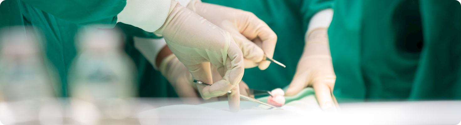 Your Guide to Finding the Best Colorectal Specialist in Singapore